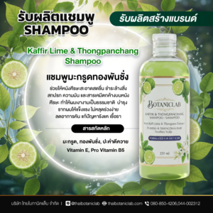 Kaffir & Thongpanchang Shampoo แชมพูมะกรูดทองพันชั่ง
