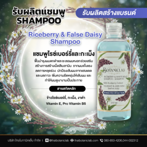 Riceberry & False Daisy Shampoo แชมพูไรซ์เบอร์รี่และกะเม็ง
