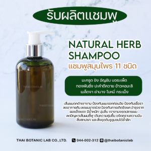 Thai Herb Shampoo แชมพูสมุนไพรไทย รวม 11 ชนิด